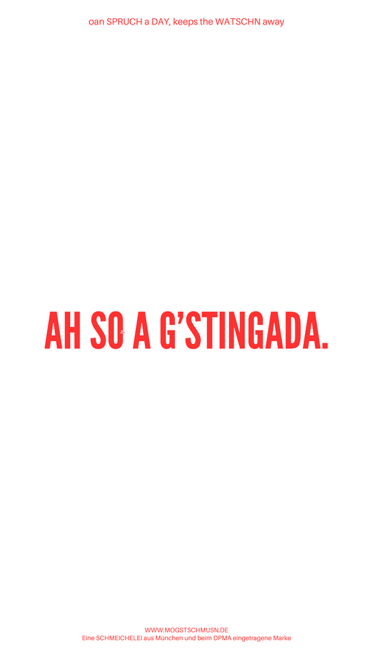Weißes digitales Hintergrundbild mit dem bayerischen Spruch „A SO A G’STINGADA.“in roter Schrift, darunter Website und Markenschriftzug von mogstschmusn.de