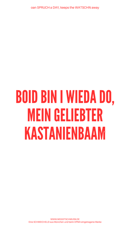 Weißes digitales Hintergrundbild mit dem bayerischen Spruch „BOID BIN I WIEDA DO, MEIN GELIEBTER KASTANIENBAAM“ in roter Schrift, darunter Website und Markenschriftzug von mogstschmusn.de