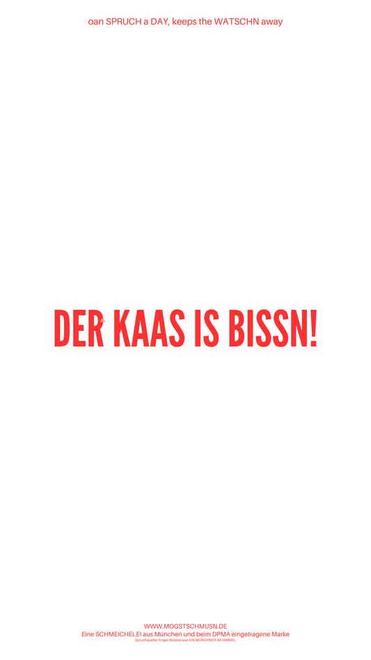 Weißes digitales Hintergrundbild mit dem bayerischen Spruch „DER KAAS IS BISSN!“in roter Schrift, darunter Website und Markenschriftzug von mogstschmusn.de