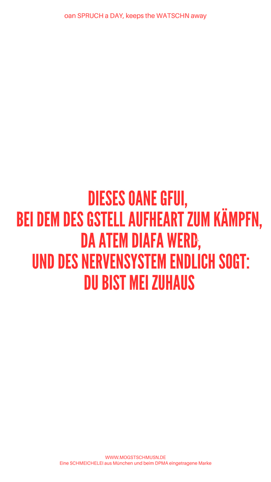 DIESES OANE GFUI, BEI DEM DES GSTELL AUFHEART ZUM KÄMPFN...