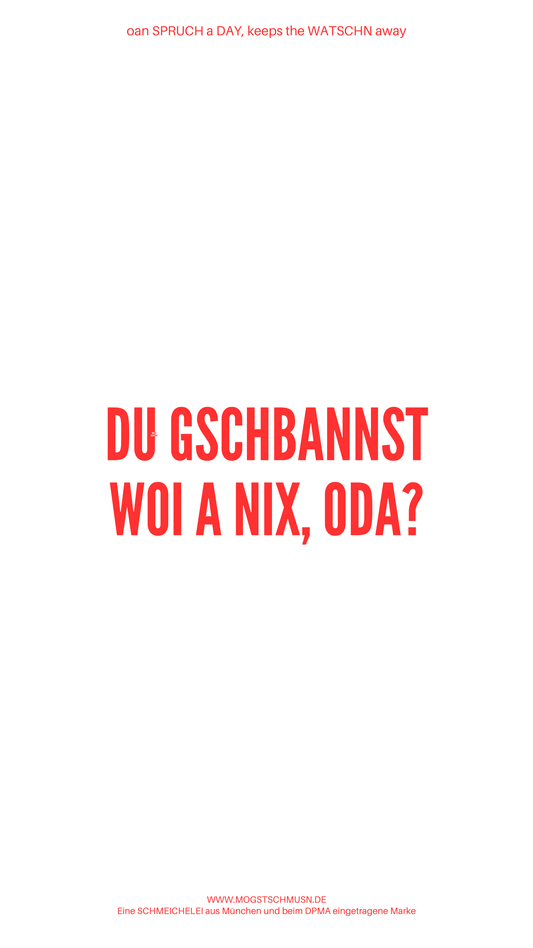 Weißes digitales Hintergrundbild mit dem bayerischen Spruch „DU GSCHBANNST WOI A NIX, ODA?“in roter Schrift, darunter Website und Markenschriftzug von mogstschmusn.de