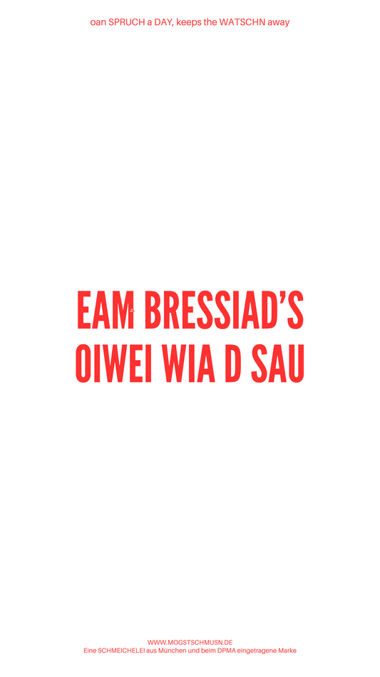 Weißes digitales Hintergrundbild mit dem bayerischen Spruch „EAM BRESSIAD’S OIWEI WIA D SAU“.in roter Schrift, darunter Website und Markenschriftzug von mogstschmusn.de