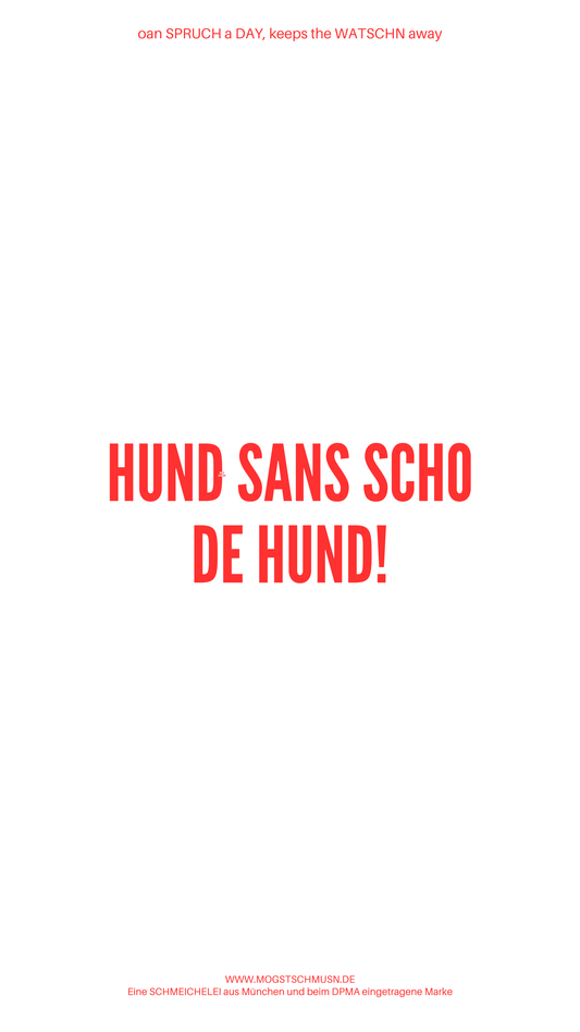 Weißes digitales Hintergrundbild mit dem bayerischen Spruch „HUND SANS SCHO DE HUND!“in roter Schrift, darunter Website und Markenschriftzug von mogstschmusn.de