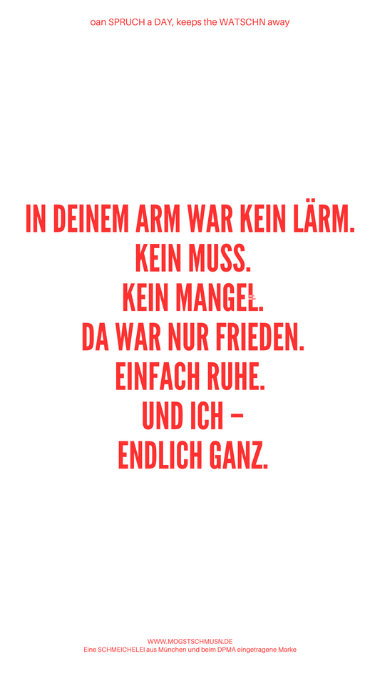 IN DEINEM ARM WAR KEIN LÄRM. ...