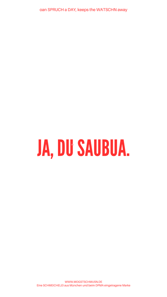 Weißes digitales Hintergrundbild mit dem bayerischen Spruch „JA, DU SAUBUA.“in roter Schrift, darunter Website und Markenschriftzug von mogstschmusn.de