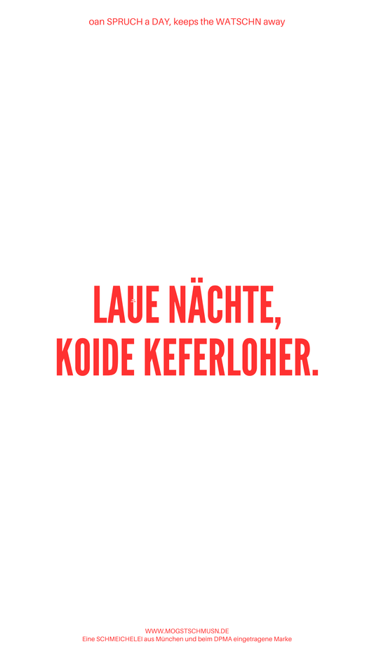 Weißes digitales Hintergrundbild mit dem bayerischen Spruch „LAUE NÄCHTE, KOIDE KEFERLOHER.“in roter Schrift, darunter Website und Markenschriftzug von mogstschmusn.de
