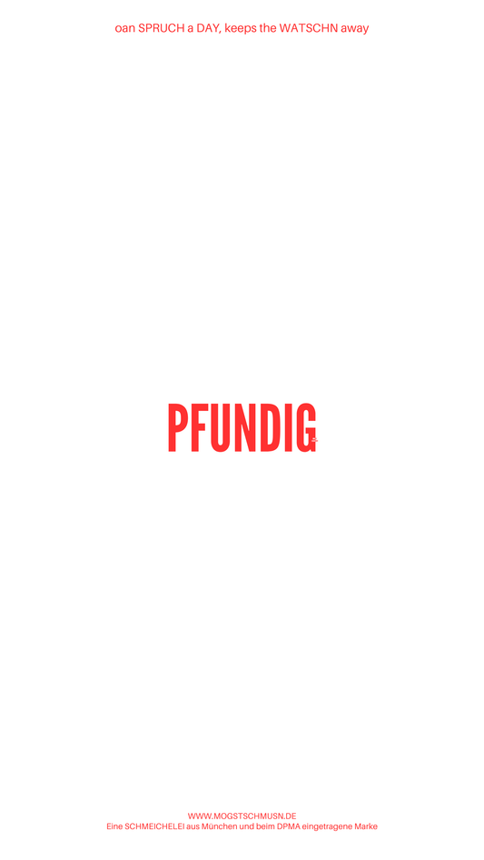 Weißes digitales Hintergrundbild mit dem bayerischen Spruch „PFUNDIG“in roter Schrift, darunter Website und Markenschriftzug von mogstschmusn.de