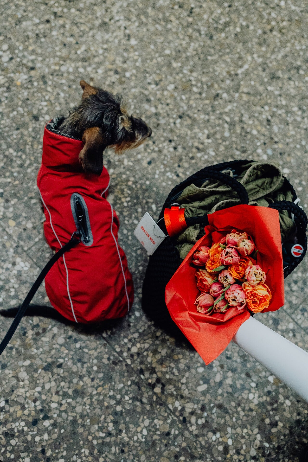 BRATZN WEG! - ANHÄNGER